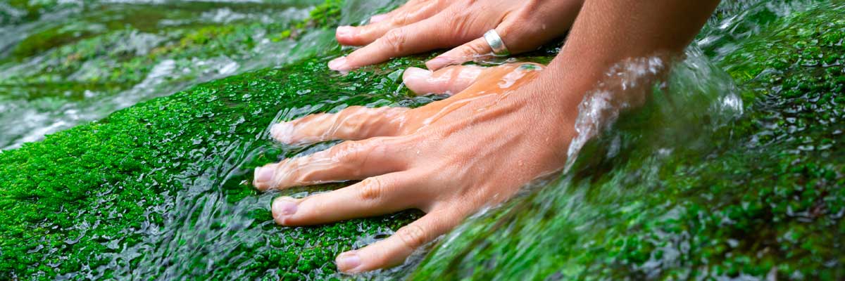 Hände in Wasserlauf waschen - Natur spüren