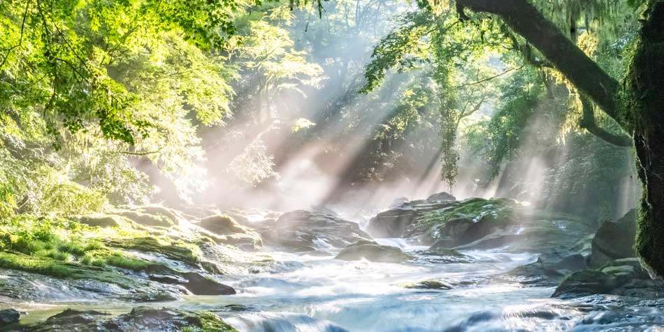 Naturcoach Akademie - Erleben mit der Natur