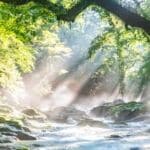 Naturcoach Akademie - Erleben mit der Natur Aufnahme Bach Sonnenlicht im Wald