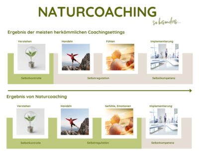Naturcoaching: Unterschied zu anderen Coachingsettings