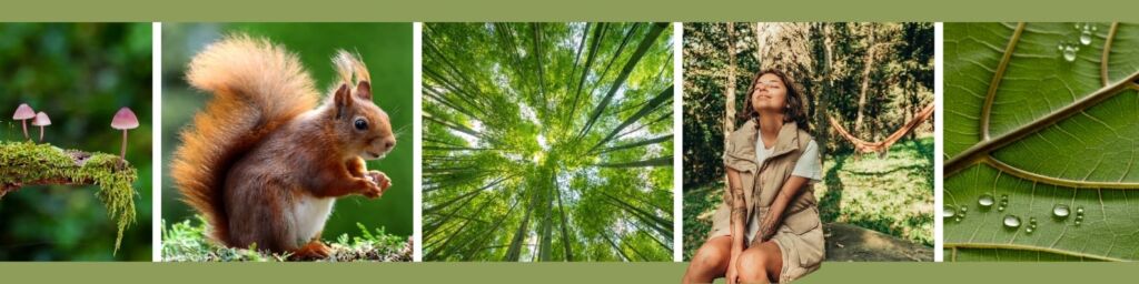 Frau lehnt an Baum und genießt Sonne im Gesicht, Baumkronen, Eichhörnchen