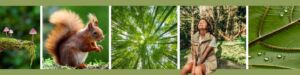 Naturcoach-Akademie Ausbildung Green Deep Dive