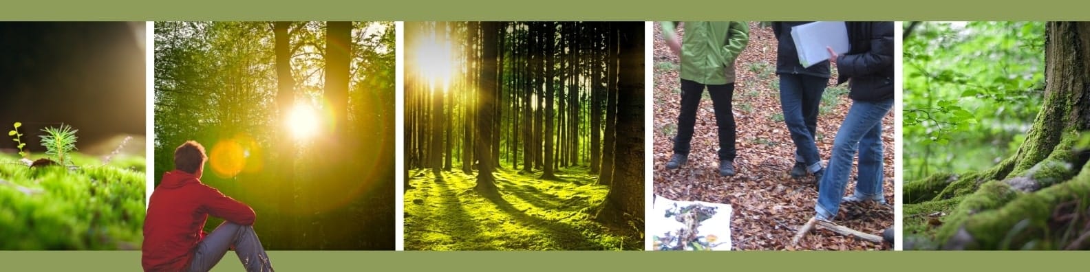 Naturcoach Akademie - Erleben mit der Natur