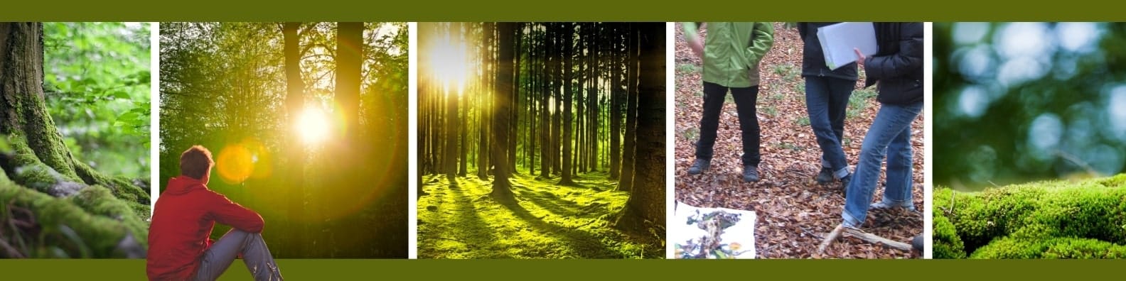 Naturcoach-Akademie Workshop Lebensbaum Ressourcenbaum Natur stehen im Wald