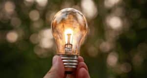 Naturcoaching: Unterschied zu anderen Coachingsettings