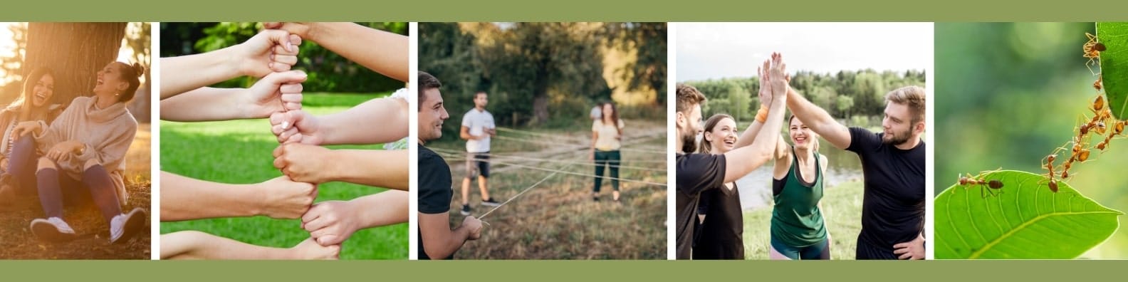 Fortbildung Naturcoach Workshops Baumkronen