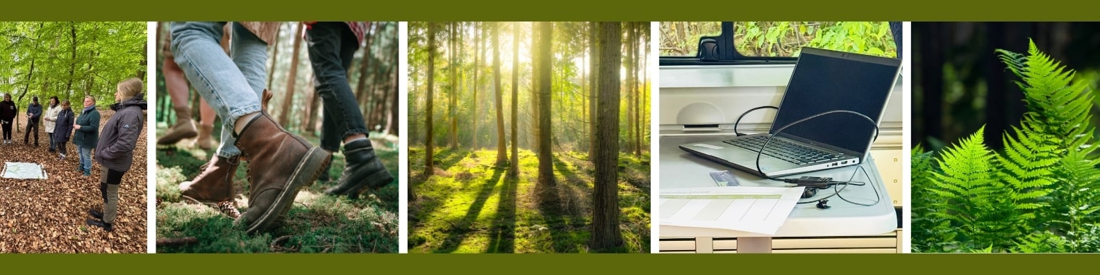 Laptop Bus Büro Wald Studie Naturcoaching Gruppe Menschen Wald