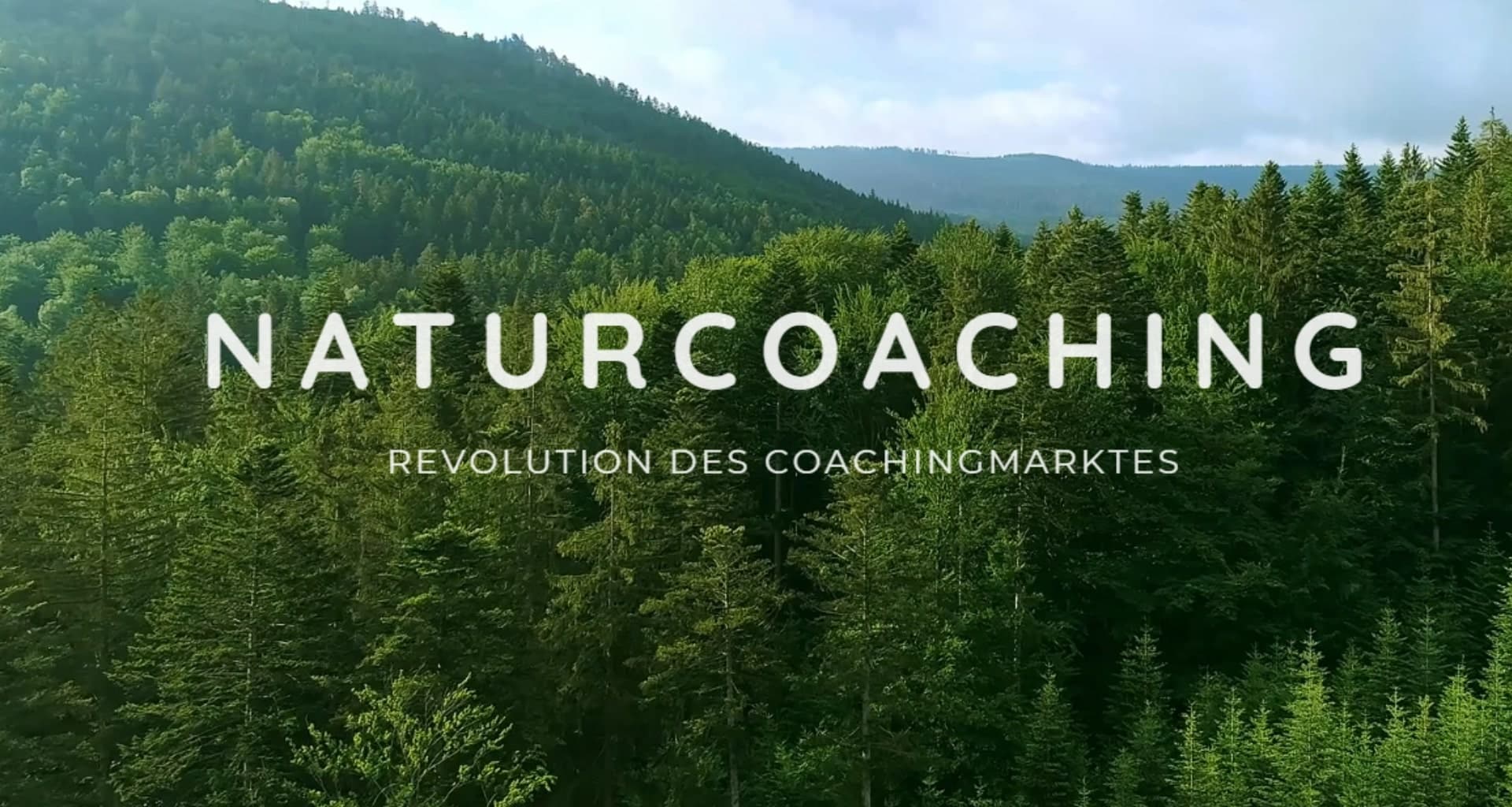 Was macht Naturcoaching so besonders?