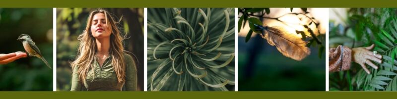 Mensch Genuss Vogel Wald Natur Berührung Achtsamkeit