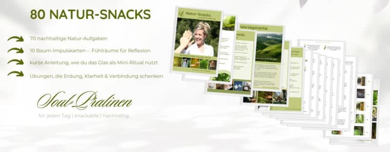 80 Naturcoach Übungen - Outdoor Übungen