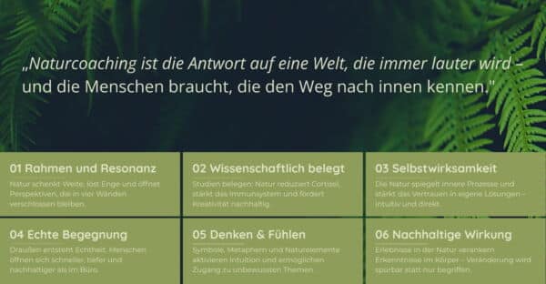 Einzigartigkeit Ausbildung Naturcoach Bayern - Farn dunkler Hintergrund