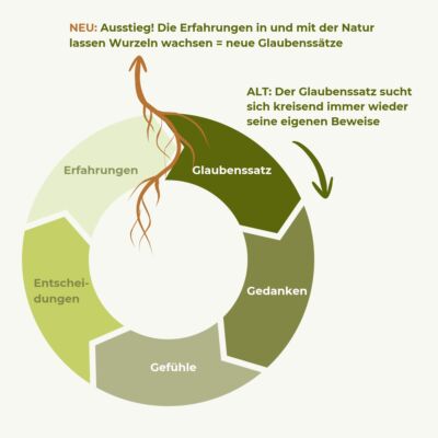 Grafik Ausstieg Glaubesnssätze
