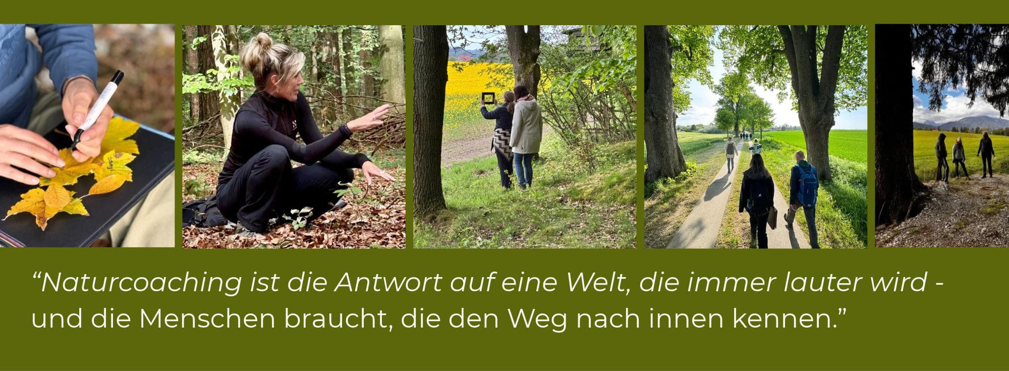 Erlebnisorientiertes Coaching in Natur